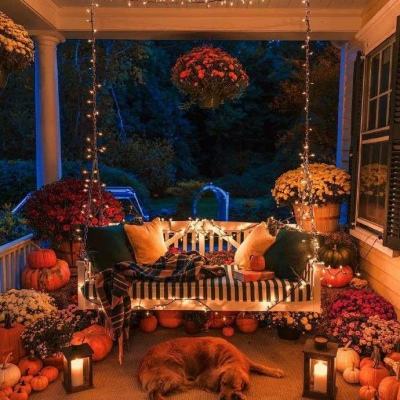 云开全站appapp下载